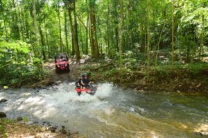 atv-tour-through-rainforest