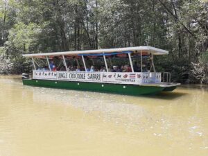 mangrove-boat-tour