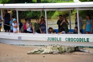 crocodile-river-tour