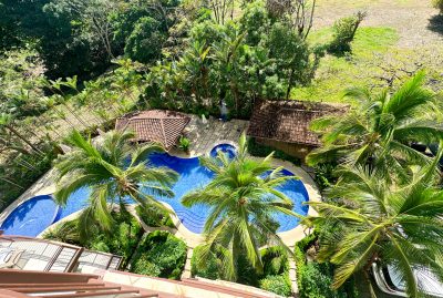 Pool view from the condo